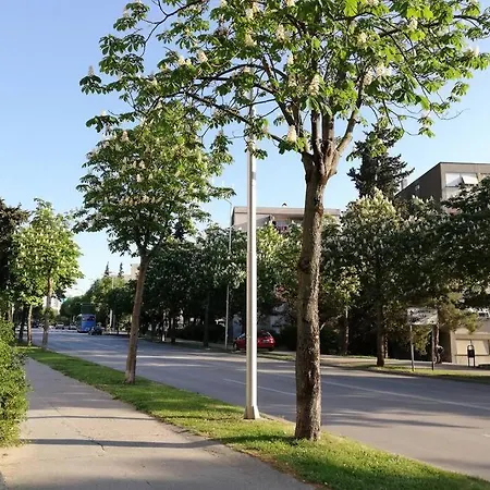 Altitudo Sea And View Terrace Comfortable And New Апартаменты Сплит